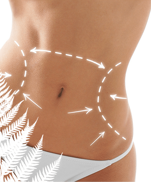 bioconturing-centre-bms
